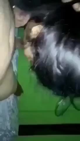 Videos (30)