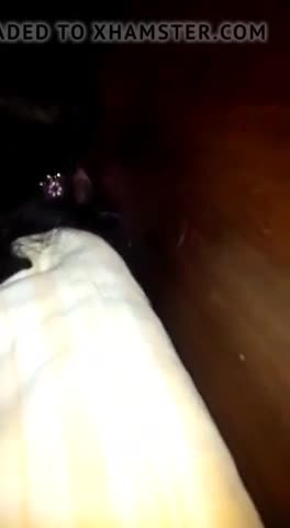 Videos (65)