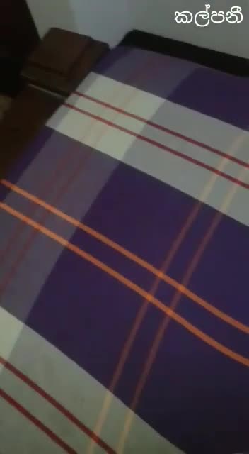 SL mix Vid (5)