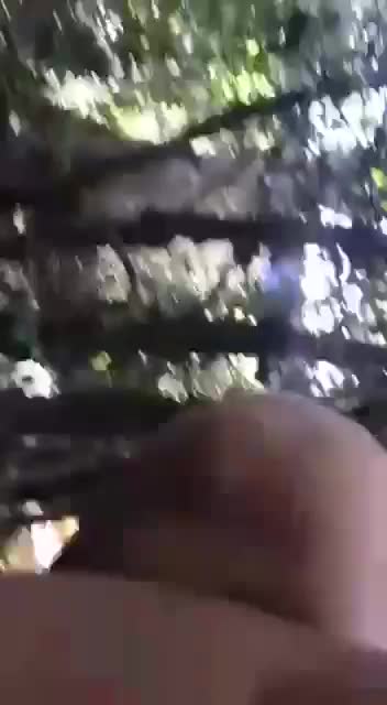 Telegram Dump mixed videos (175)