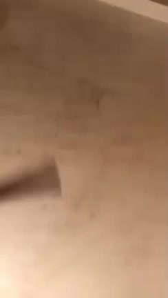 Telegram Dump mixed videos (326)