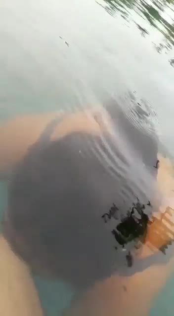 Telegram Dump mixed videos (473)