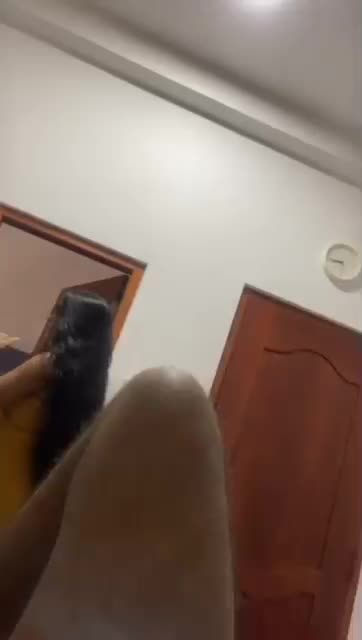 Telegram Dump mixed videos (567)