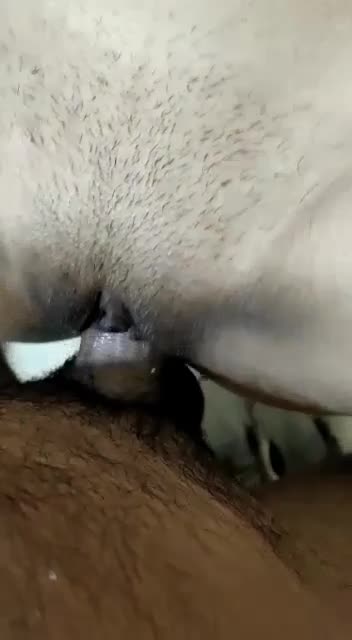 Telegram Dump mixed videos (582)