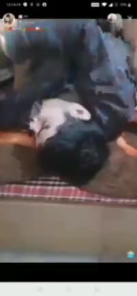 Telegram Dump mixed videos (990)