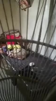 Telegram Dump mixed videos (1259)