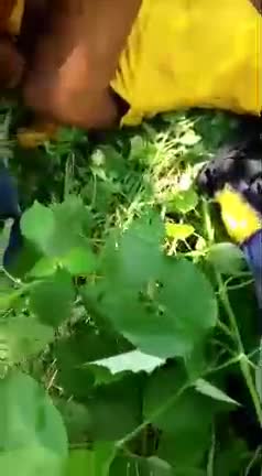 Telegram Dump mixed videos (1272)