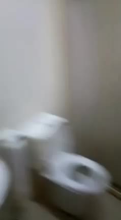 Telegram Dump mixed videos (1281)