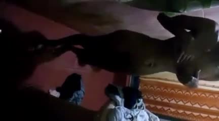 Telegram Dump mixed videos (1307)
