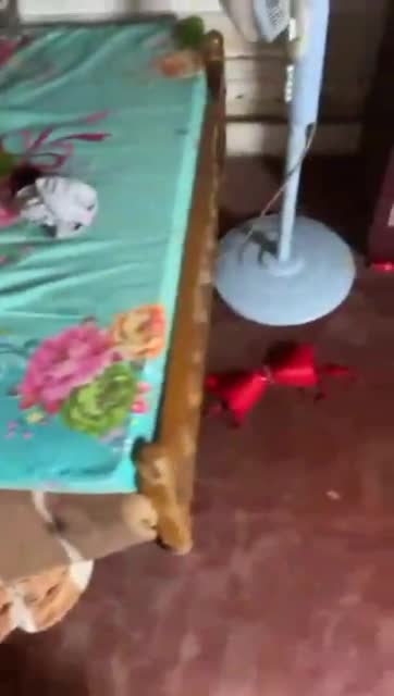 Telegram Dump mixed videos (1308)
