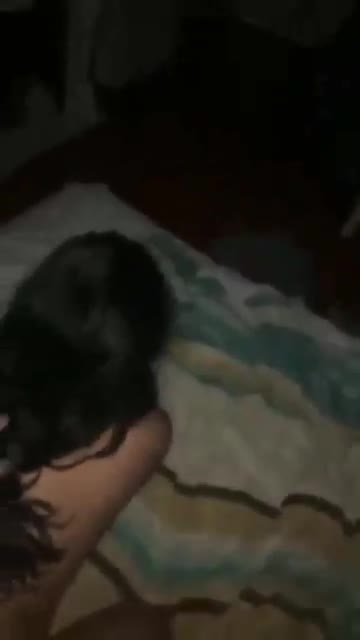 Telegram Dump mixed videos (1312)