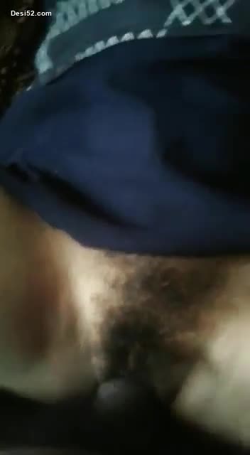DumpX (52)